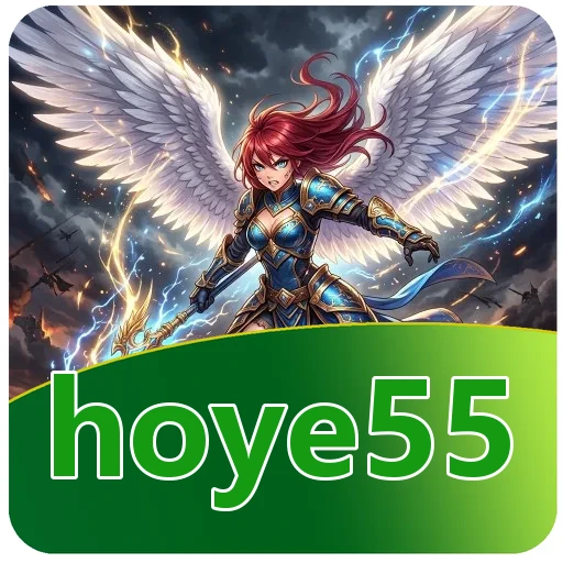 Performa hoye55
